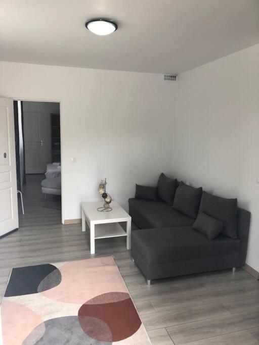 Top Appartement 10 Minutes De Disney Chessy  Eksteriør bilde